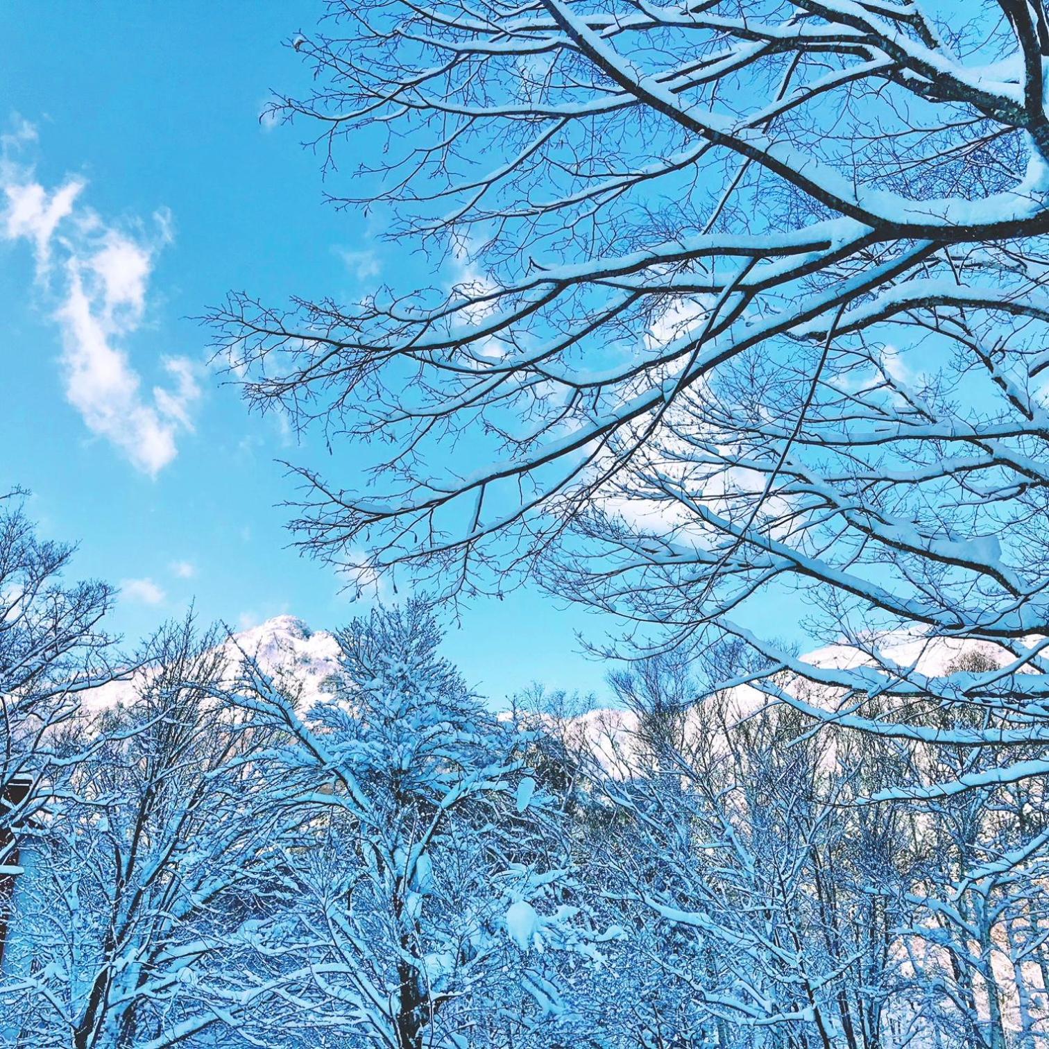 Murmeln Yuzawa  Eksteriør billede